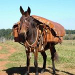 300183766_5392941430801117_3526099981712537355_n